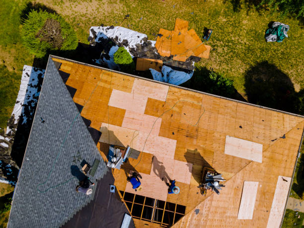 Best Storm Damage Roof Repair  in La Grange, NC