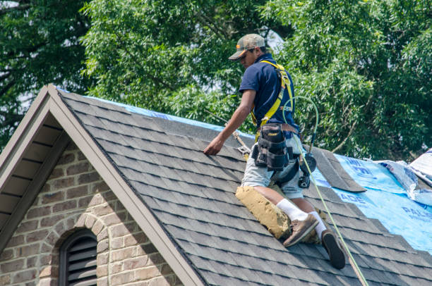 Best Storm Damage Roof Repair  in La Grange, NC